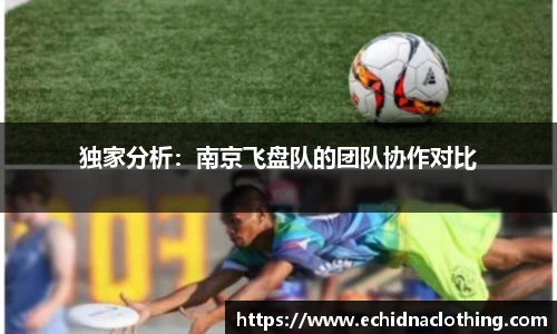 独家分析:南京飞盘队的团队协作对比