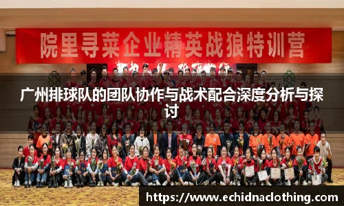 广州排球队的团队协作与战术配合深度分析与探讨